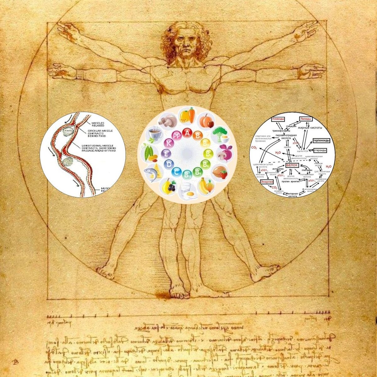 Коллаж автора