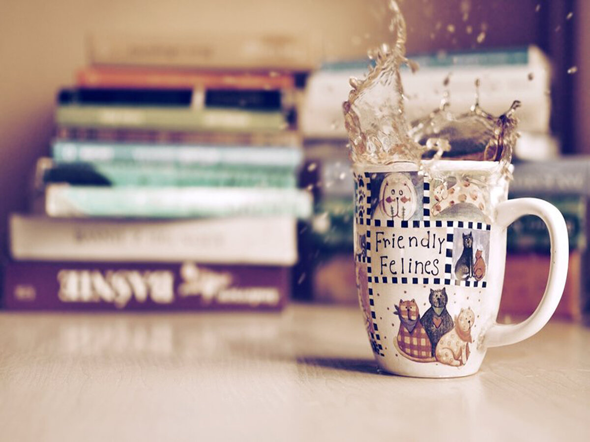 фото: Яндекс.Картинки