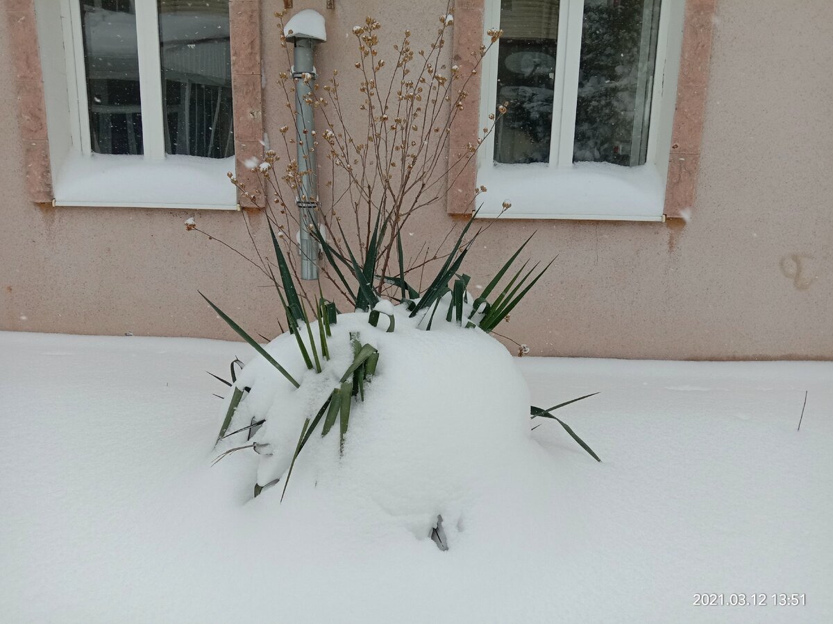 Фото автора канала