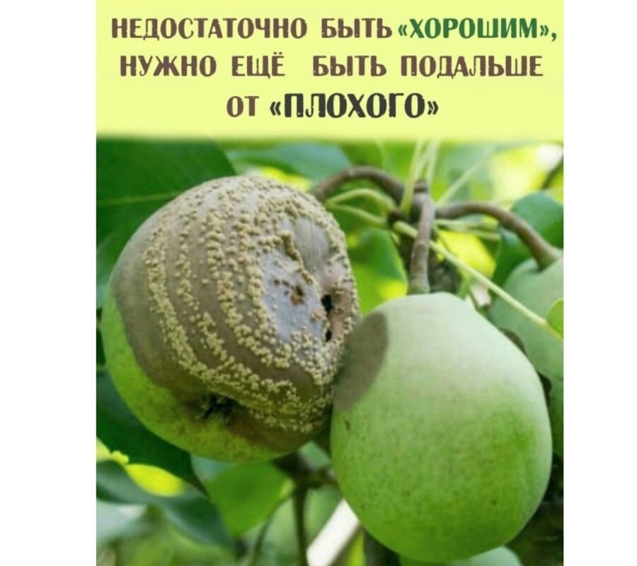 Фото взято из открытых источников (яндекс. картинки)