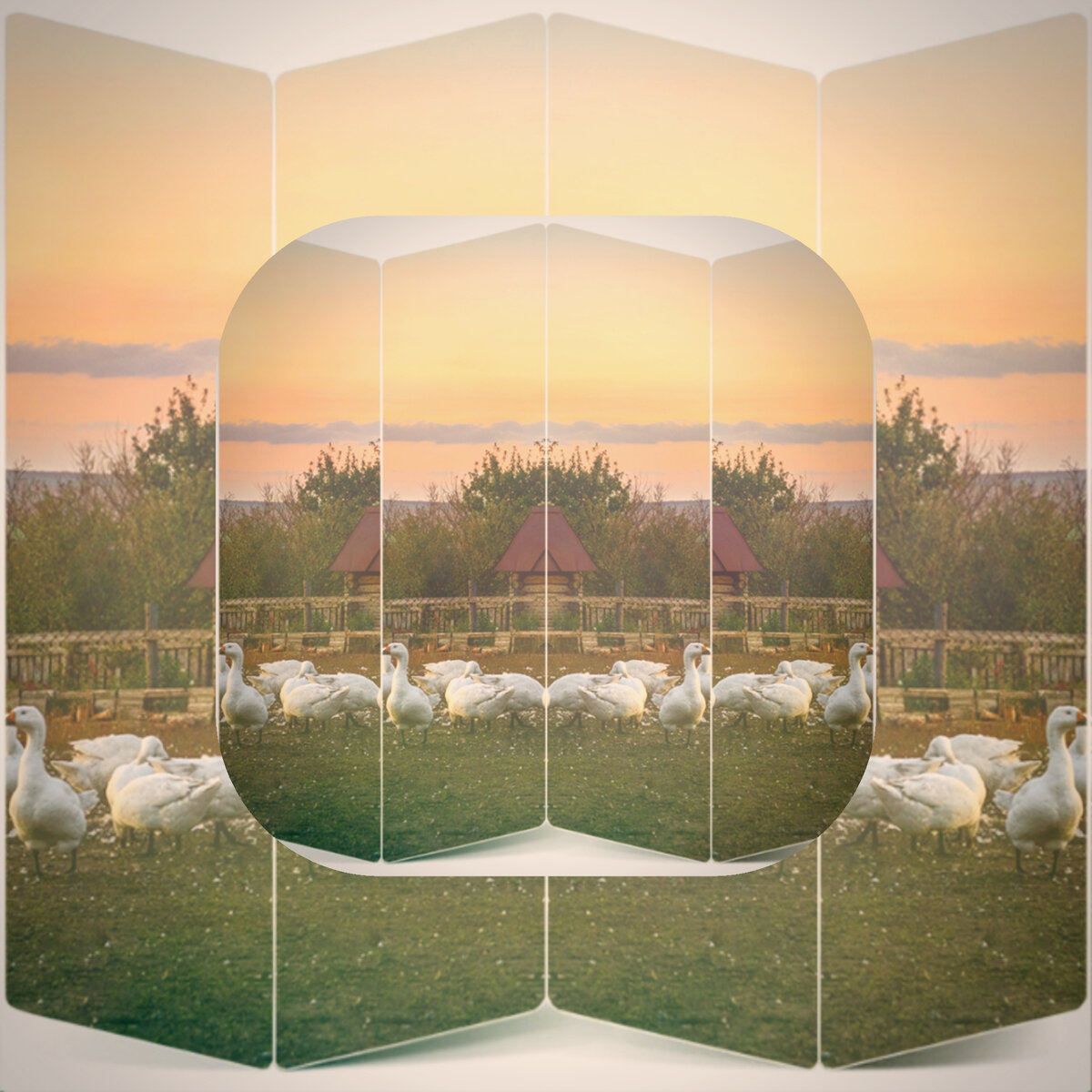 Яндекс картинка, редактирования автором. 