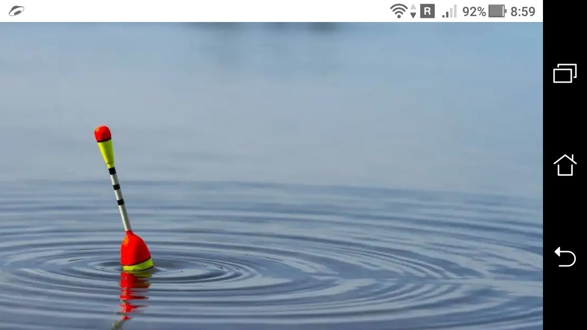 фото Полудонка для весенней рыбалки + поплавок, кивок, грузило на карася