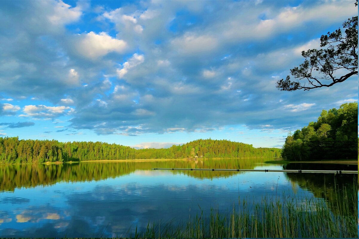 Спокойствие и невозмутимость.   Коллаж.   Тишина и благолепие основное состояние души тех, кто заботится не только о теле...  Источник -  изображение moritz320 с сайта Pixabay  