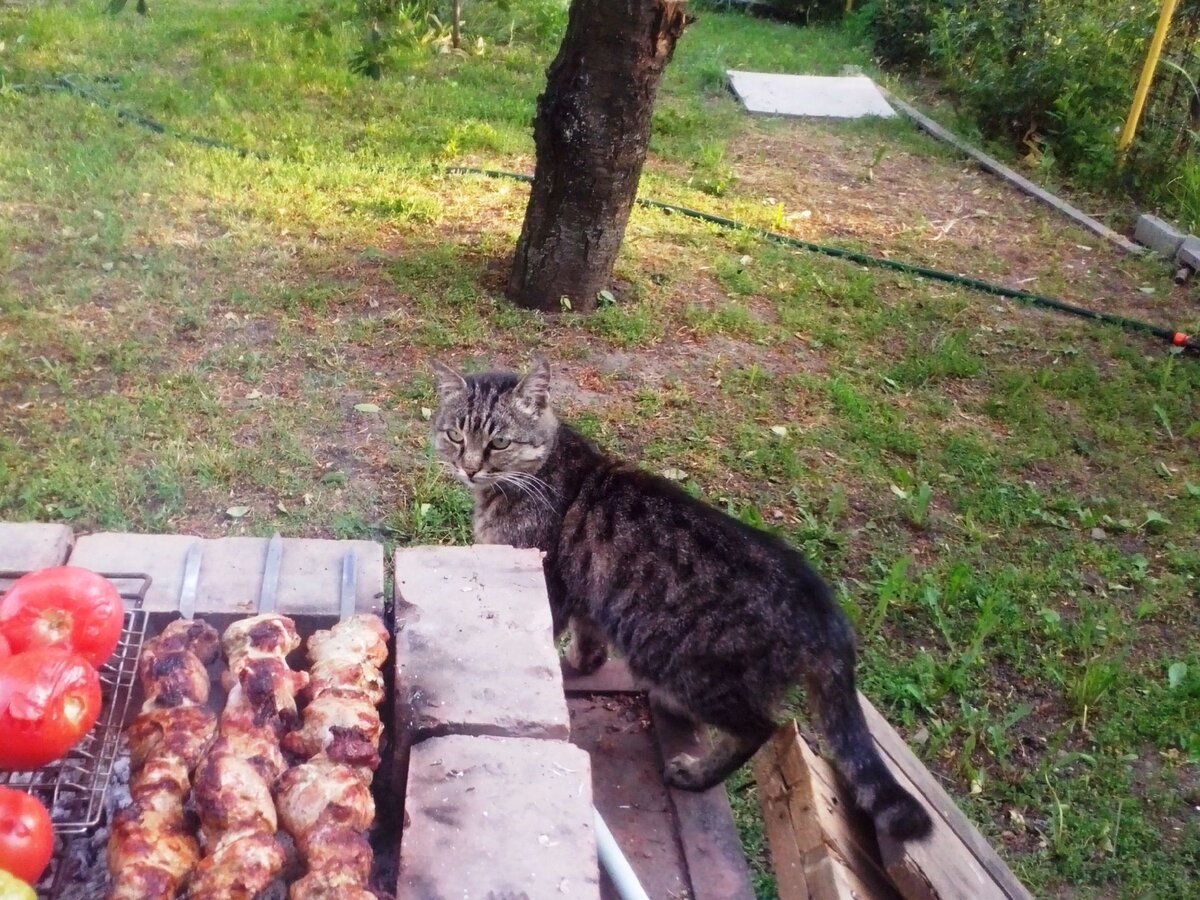 Лёвка. Фото из личного архива Хозяина