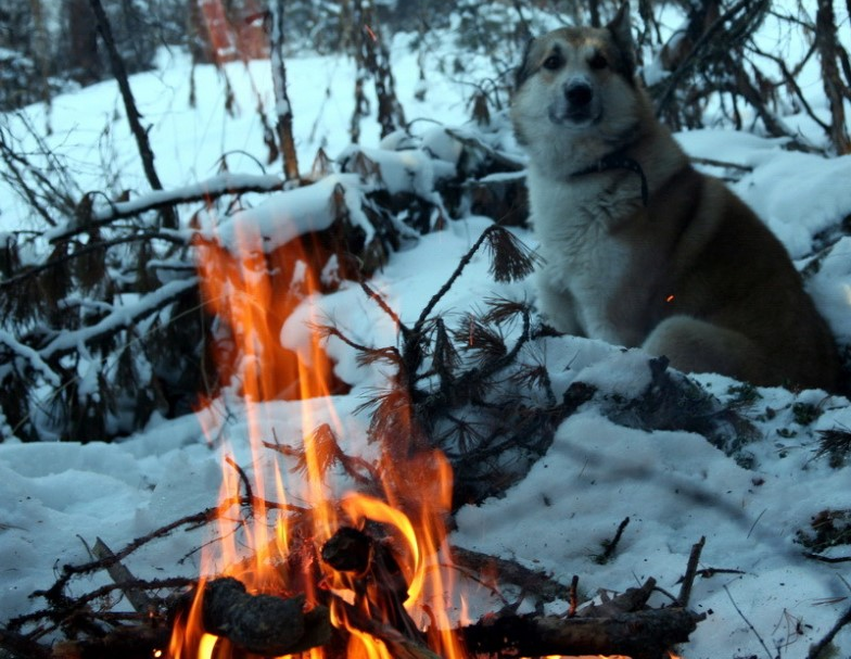 Костер в тайге зимой