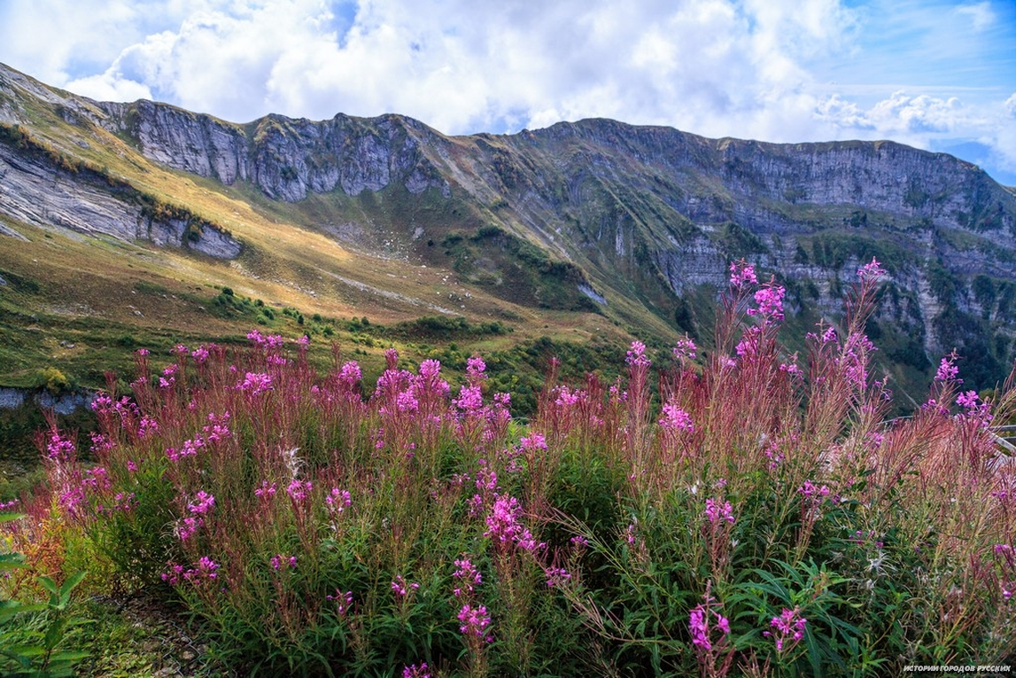 Экотропы. Альпийские луга. Источник krasnayapolyanaresort.ru