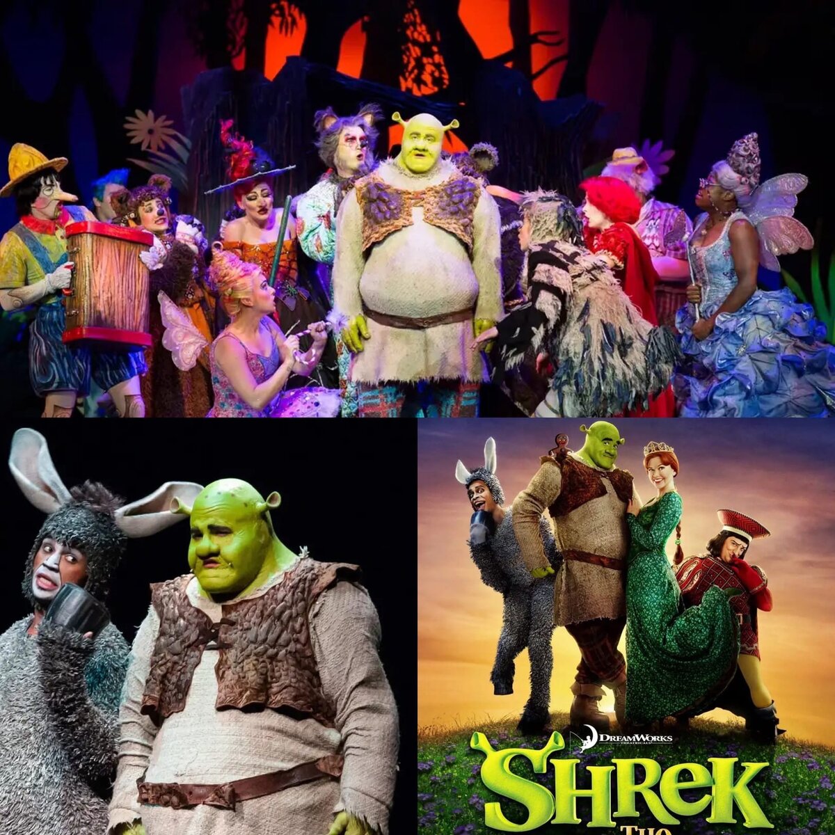 Мюзикл про Шрека ( коллаж из фото сделал канал)