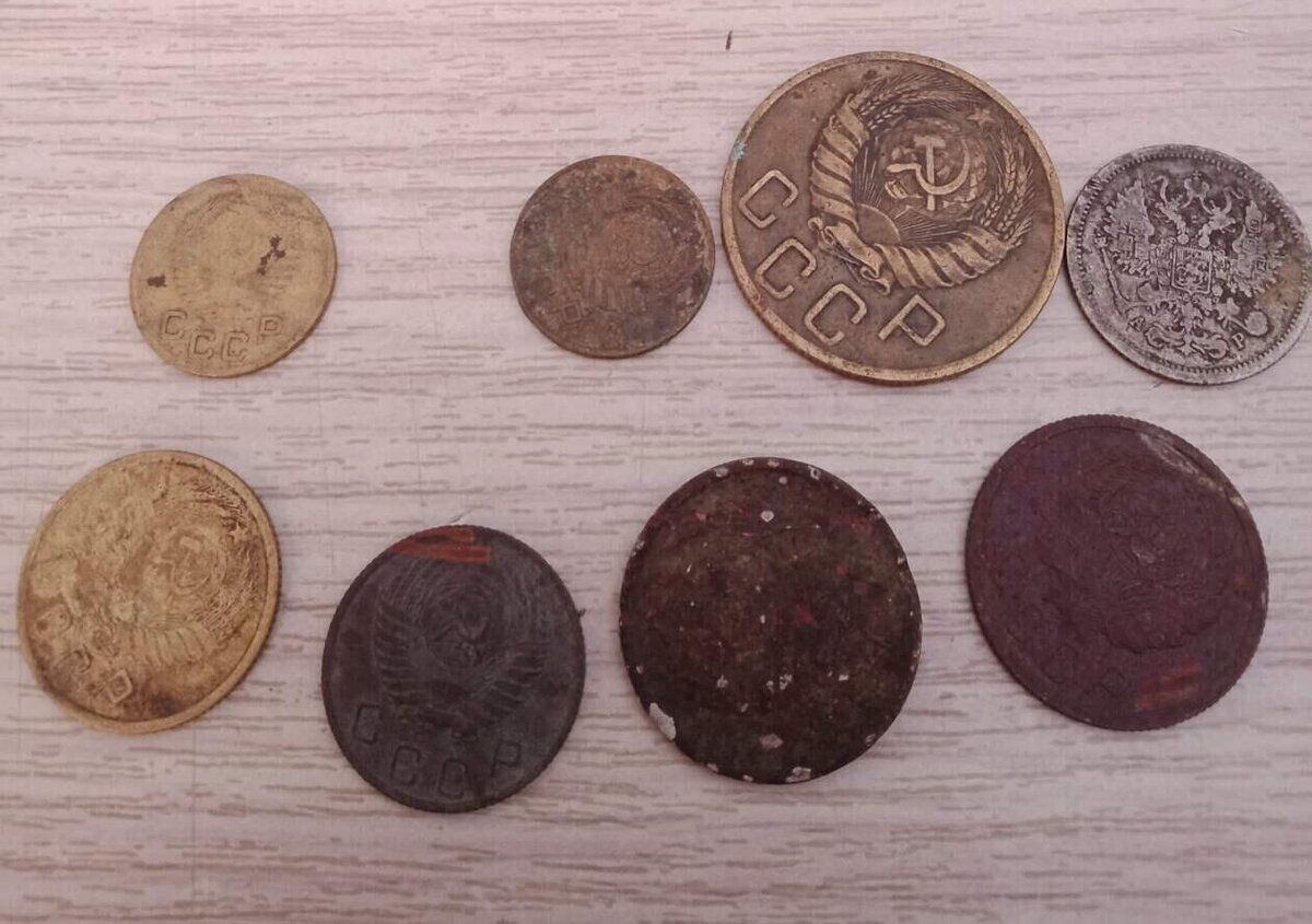 Фото предоставлено подписчиком канала!