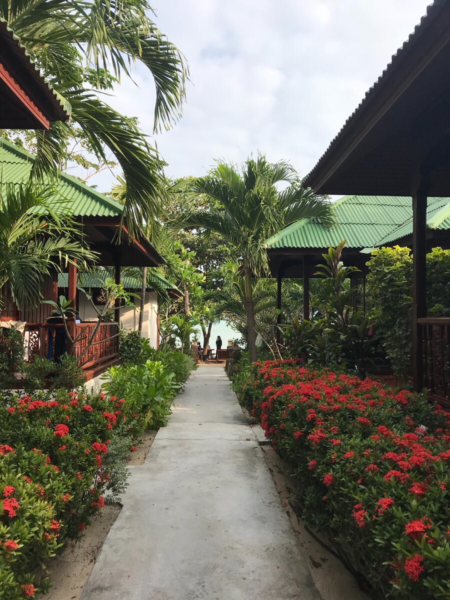 На первое время выбрали бунгало на первой линии на пляже Ламай