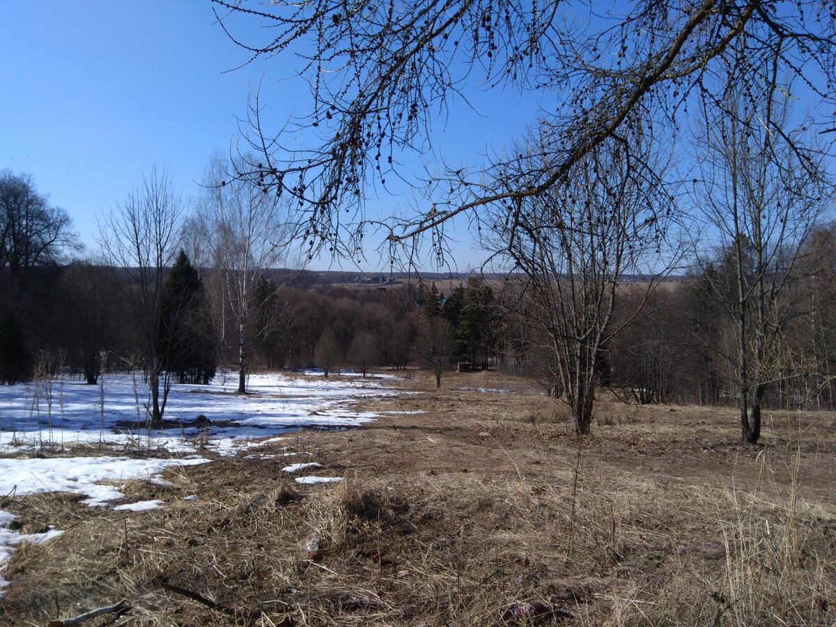 Россия. Московская область. Усадьба Воробьево