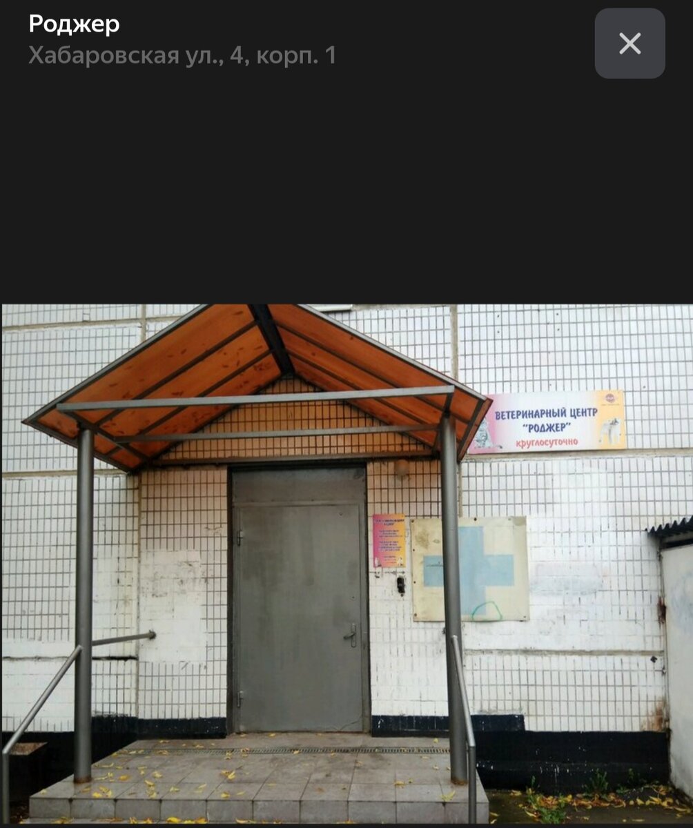 Ветеринарный центр «Роджер» открыт для приёма денежных средств круглые сутки. 