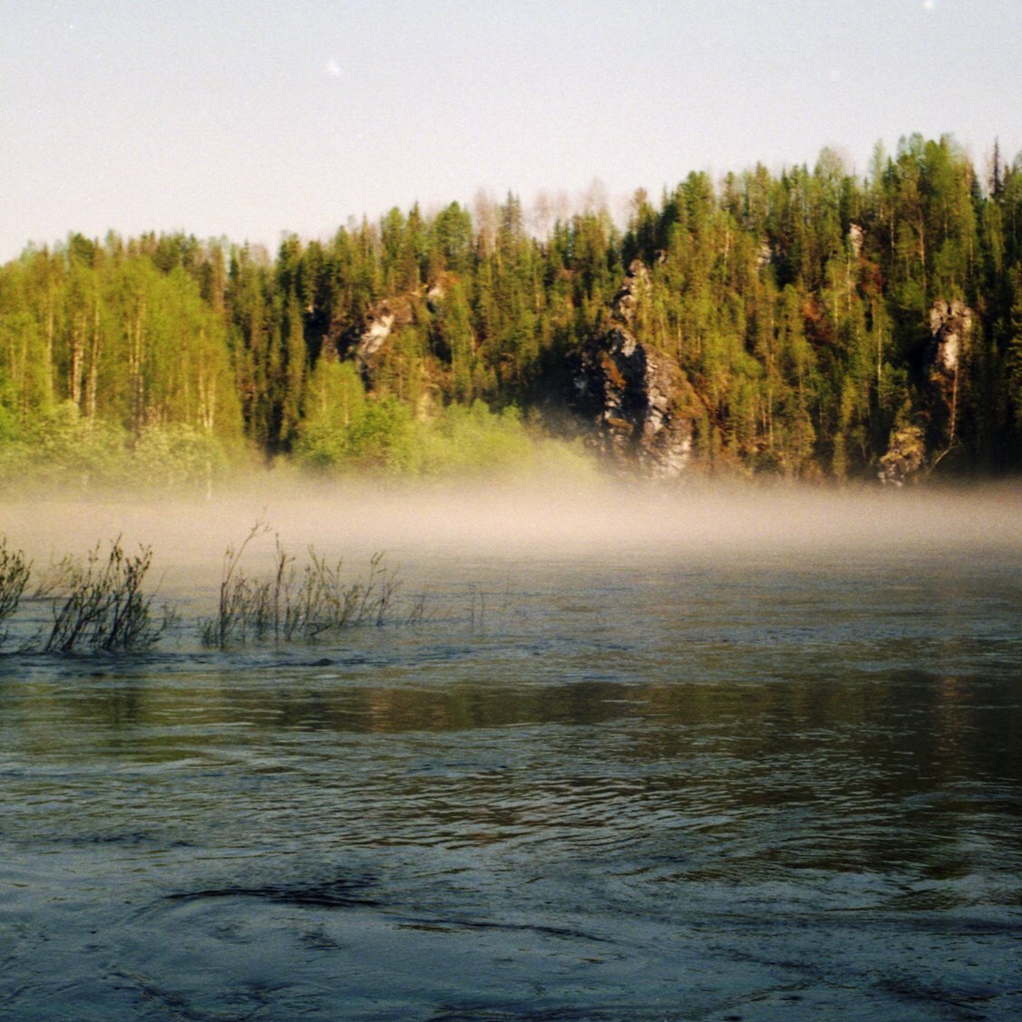 весна скоро (фото автора)