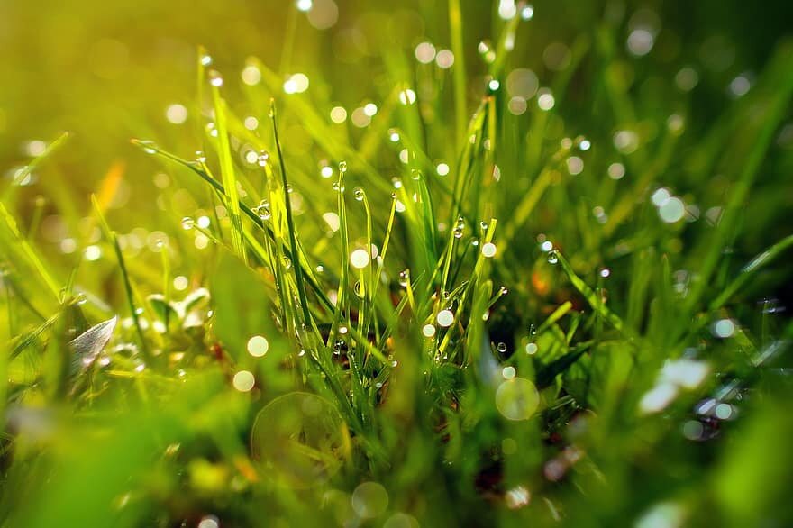 Картинки с интернета