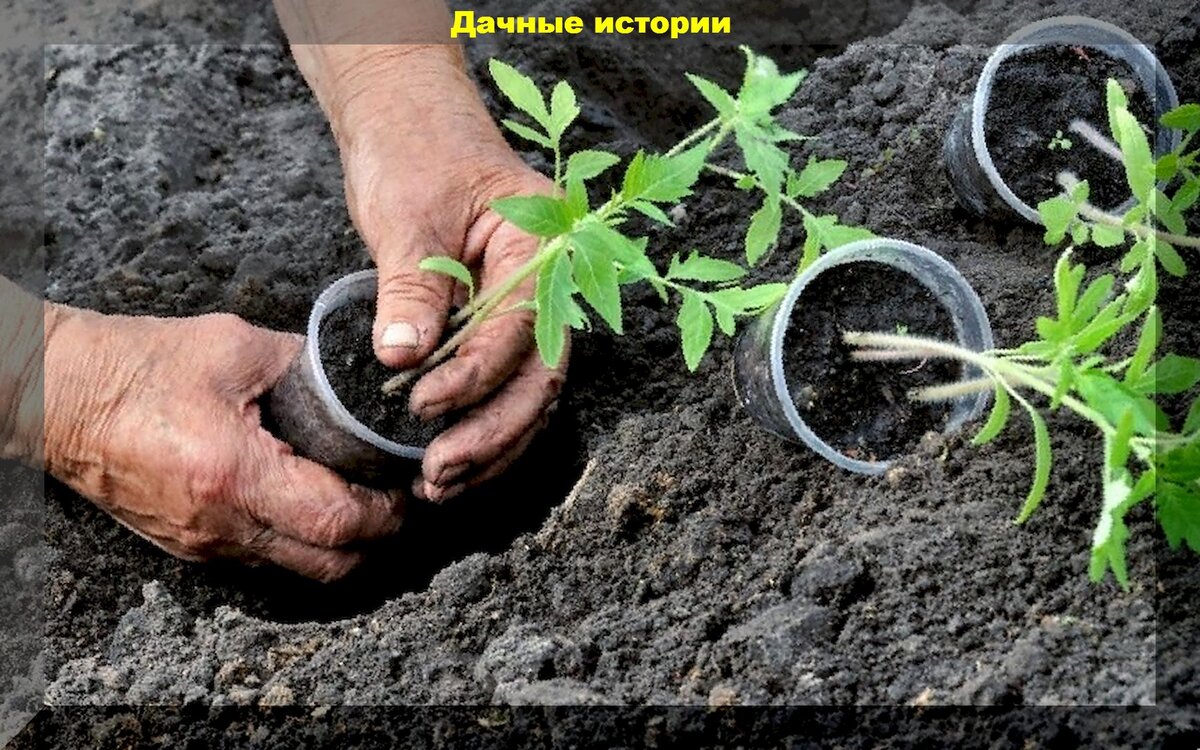 https://vk.com/photo-159774511_457246968