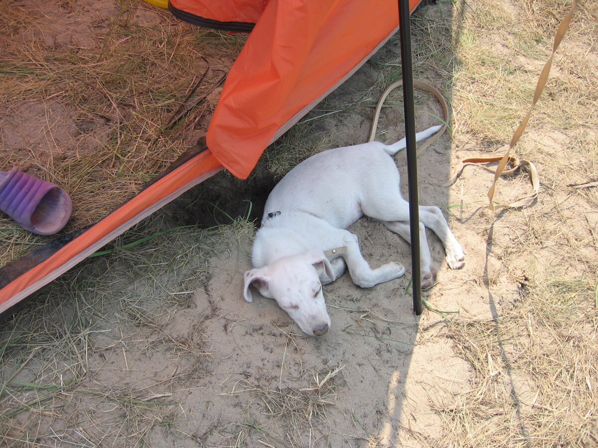 первая далёкая поездка. Басюше 4 месяца.