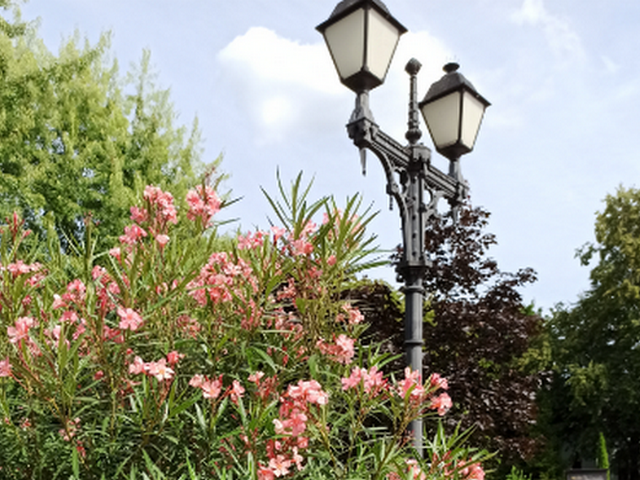 Тотальное Обновление...