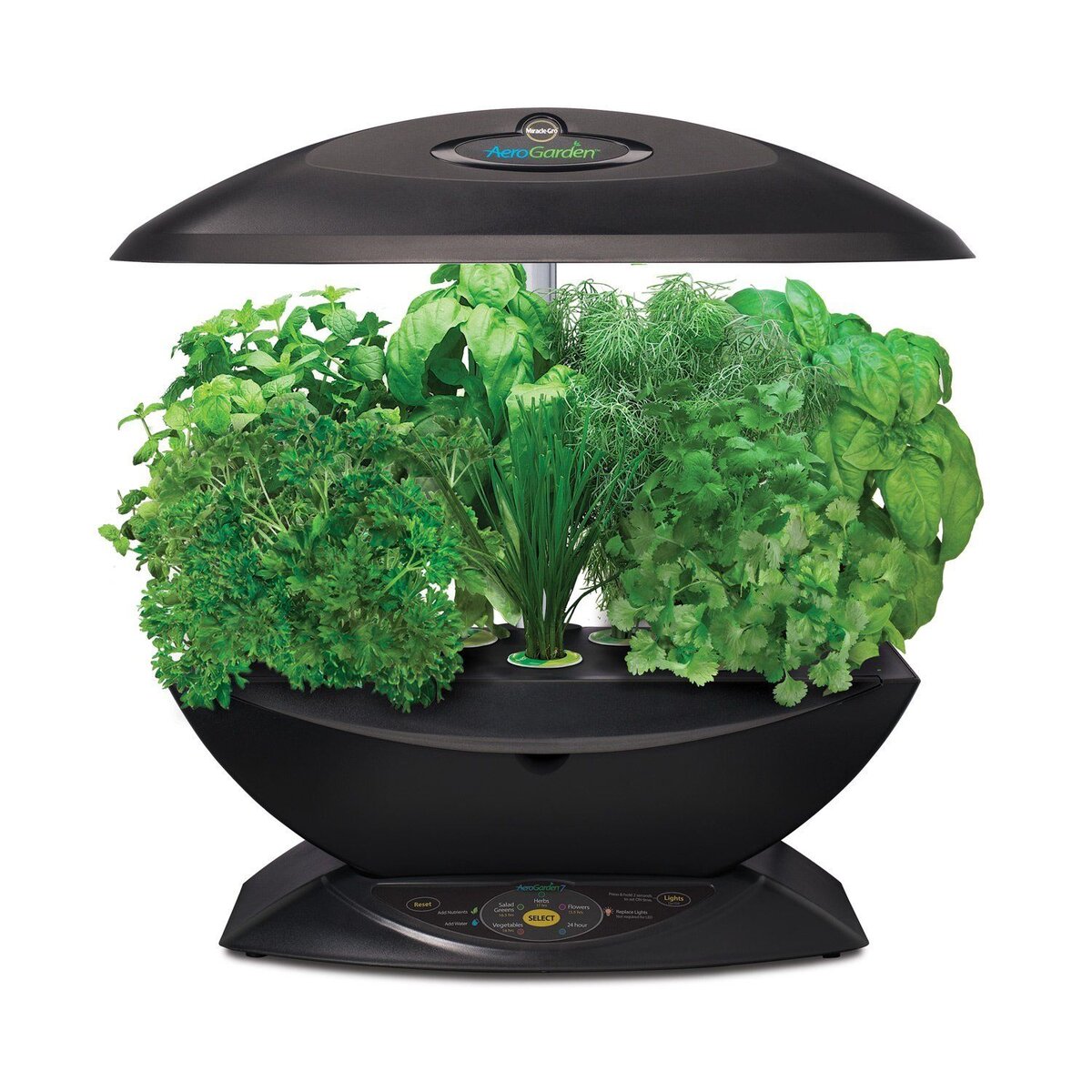 Aerogarden 