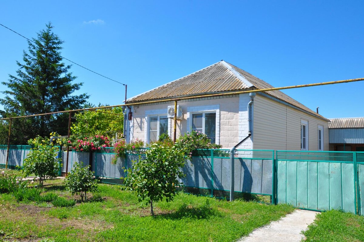 фото из свободных источников интернета