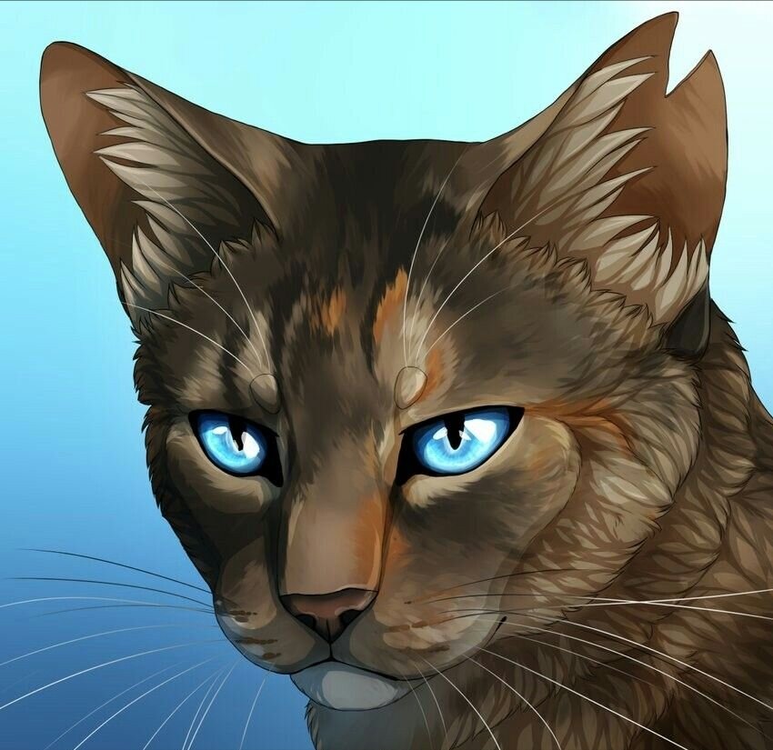 Все арты из интернета