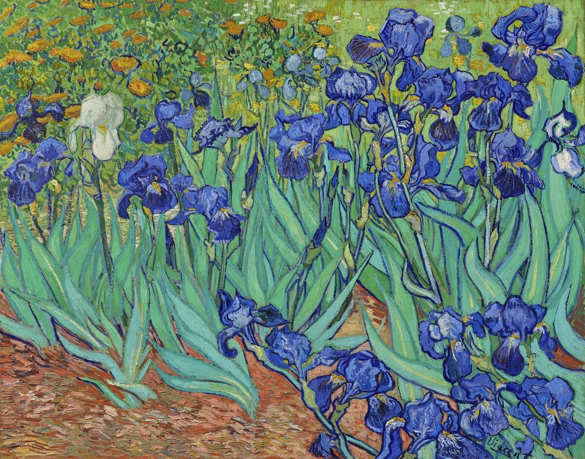 Vincent Van Gogh's Irises (1889). Famous painting, original from the J. Paul Getty Museum.