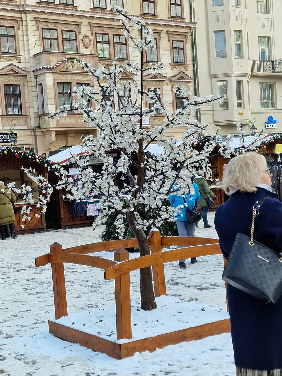 Фото автора: а вот без шапки, когда снег - мне аж больно видеть))