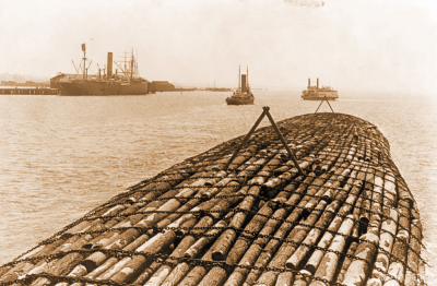 Фото с сайта https://lesprominform.ru/jarticles.html?id=5943 