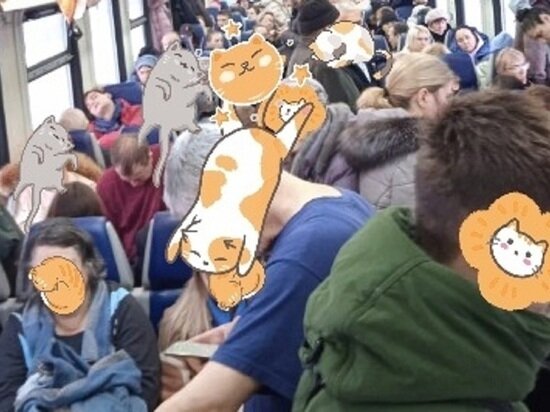     Фото: Антонина Крыленкина