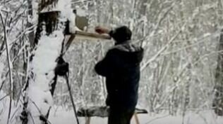     В Нижнекамске мужчина постоянно забирал семечки из кормушки для птиц. Местный житель узнал о пропаже еды для пернатых и провел расследование, о котором рассказал в соцсетях.