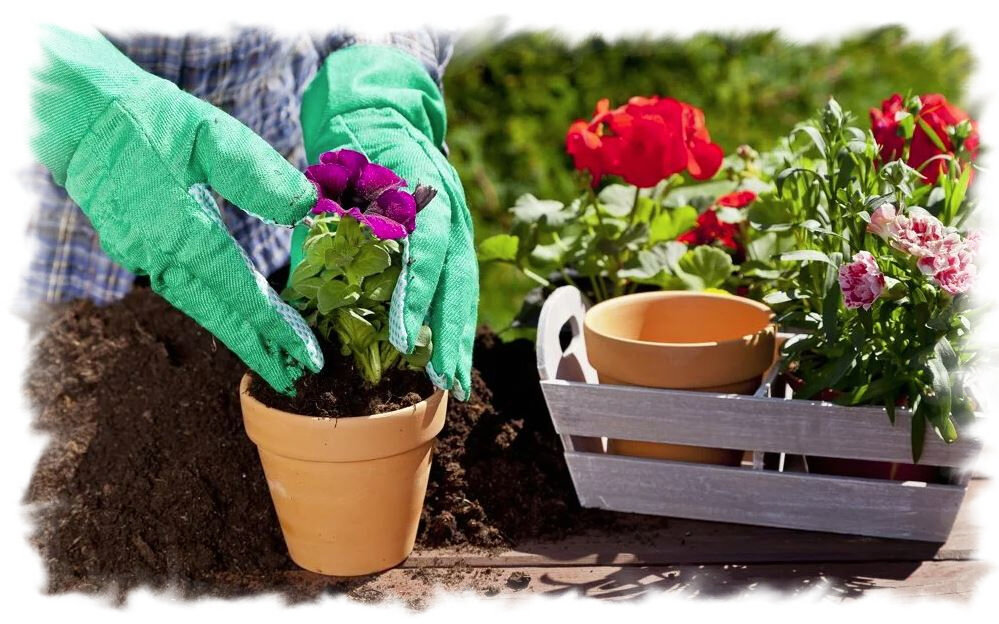 Фото из открытых источников.