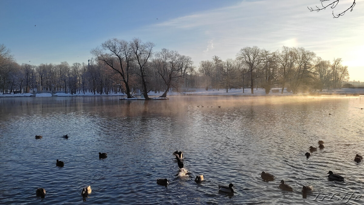 Гатчинский парк. 21.01.2023 г.
