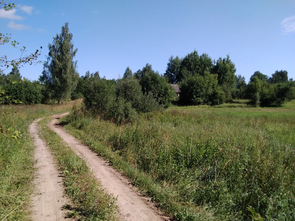 Мирного неба 