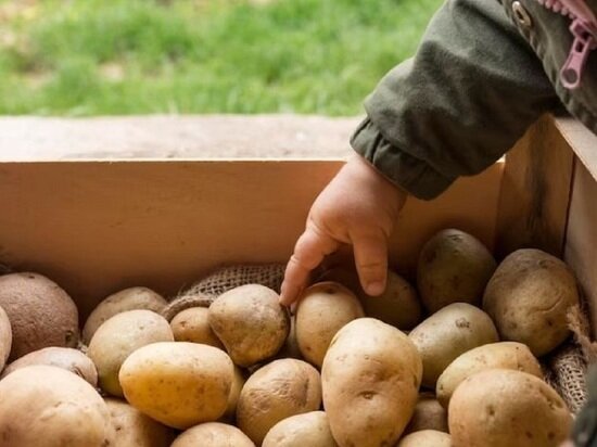     Фото: freepik.com.