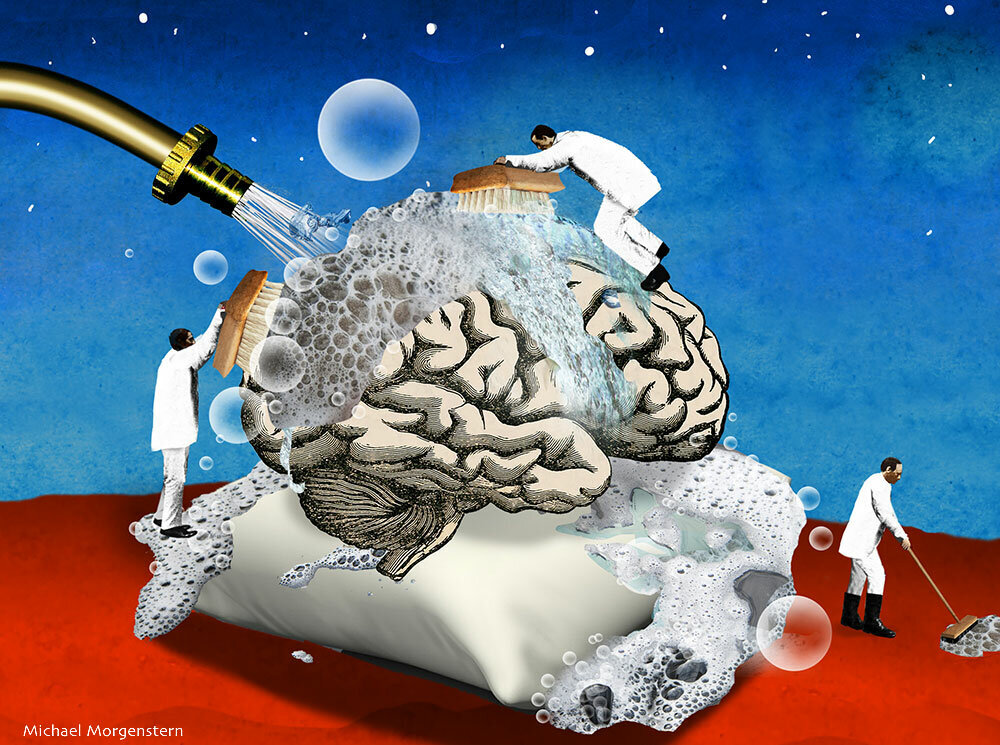 Очистка мозга. Мозг очищается. Чистка мозгов. Нейропластичность мозга презентация. Алгоритм отработки возражений.