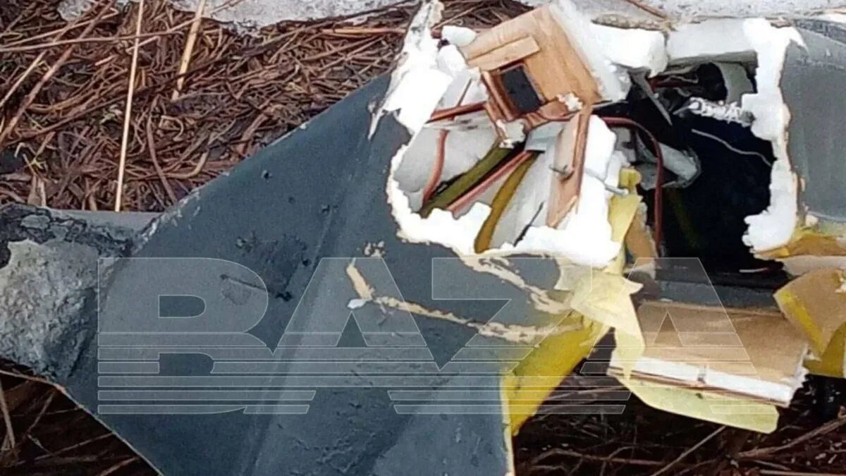 Фото: Телеграм-канал Baza