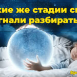    Стадии сна