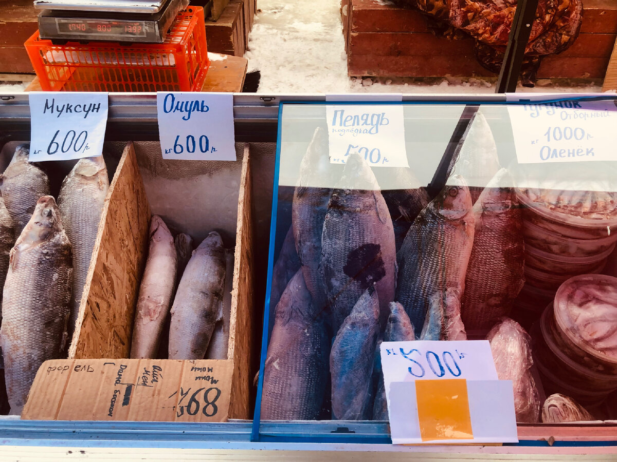 Рыба Якутии