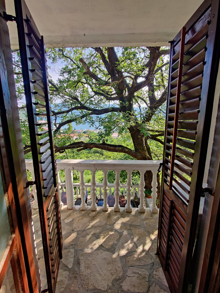 Вид из апартаментов