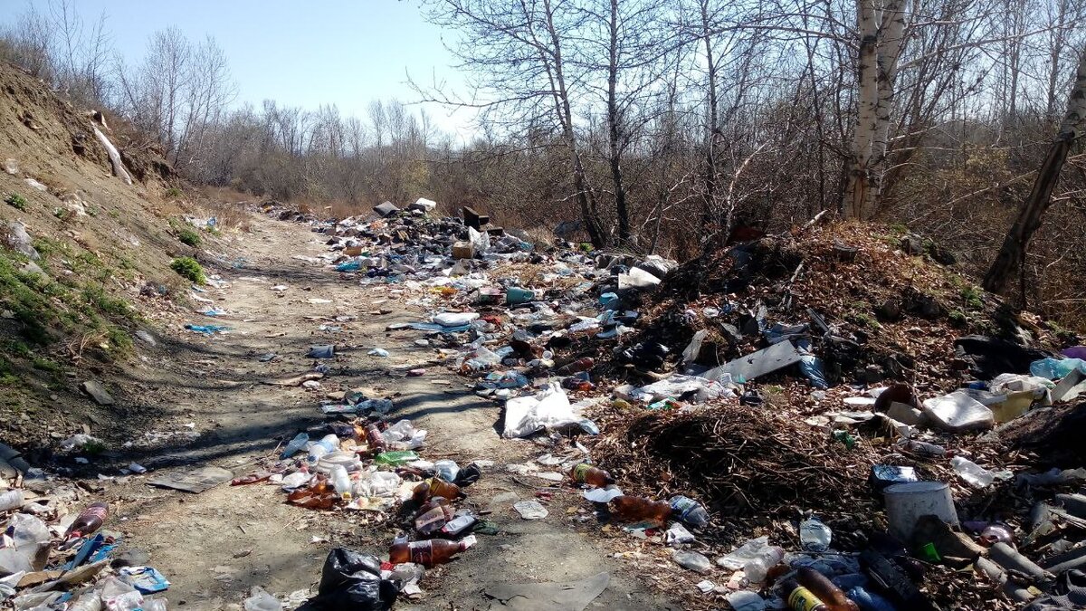 «Мы живём в частном доме. Недавно принесли квитанции за вывоз мусора из бункера, установленного в конце улицы. Но у нас свой контейнер, мусор вывозит за плату предприниматель на спецмашине.-3