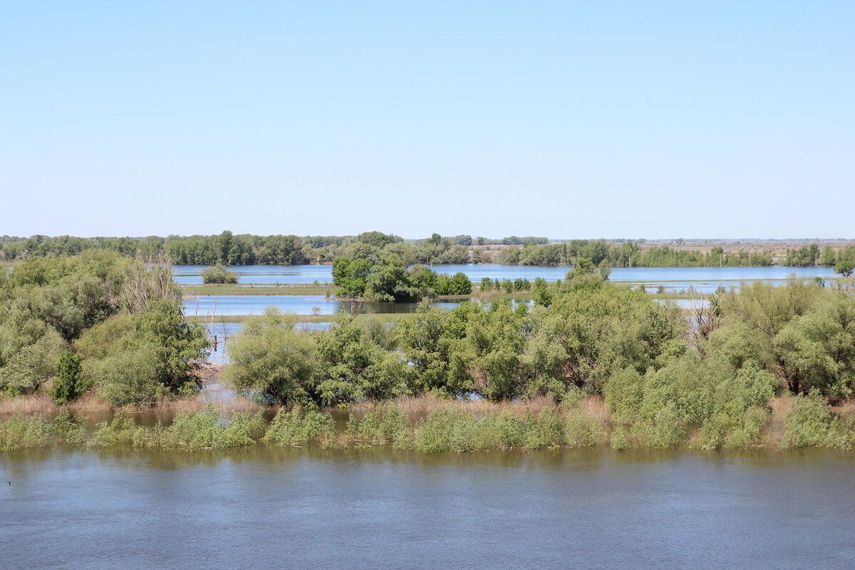 На волге нельзя купаться