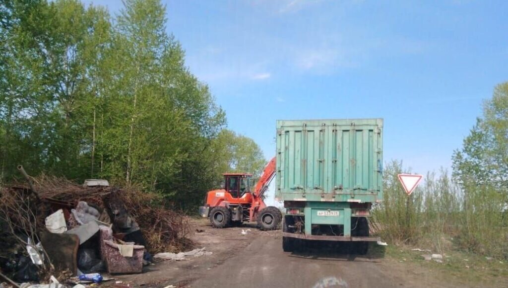    Фото: министерство природных ресурсов Амурской области