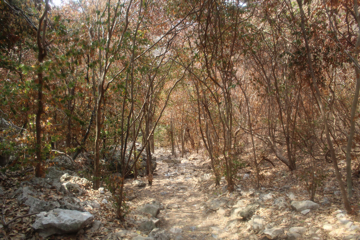 8-е чудо света в Таиланде | Путешествия для чайников | Дзен