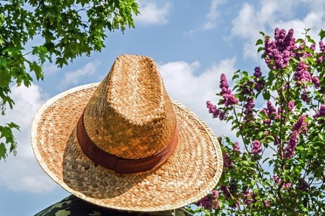    Как правильно вести себя в аномальную жару, накрывшую Татарстан?