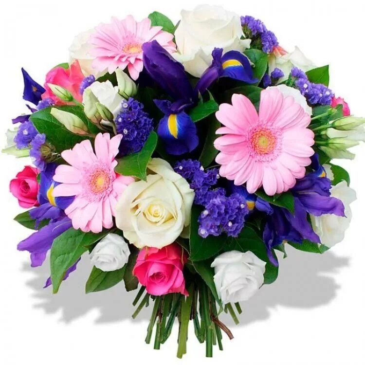 взято из открытых источников