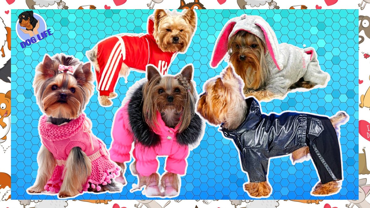 Одежда на любой вкус.