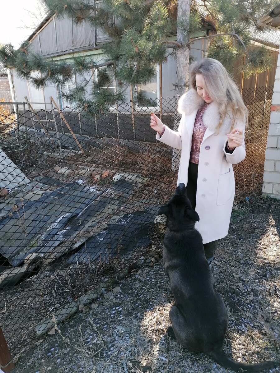 Даже не думай ставить на меня лапы! Фото автора.