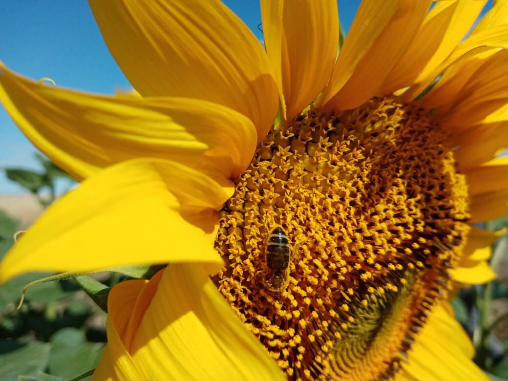 Фото автора)