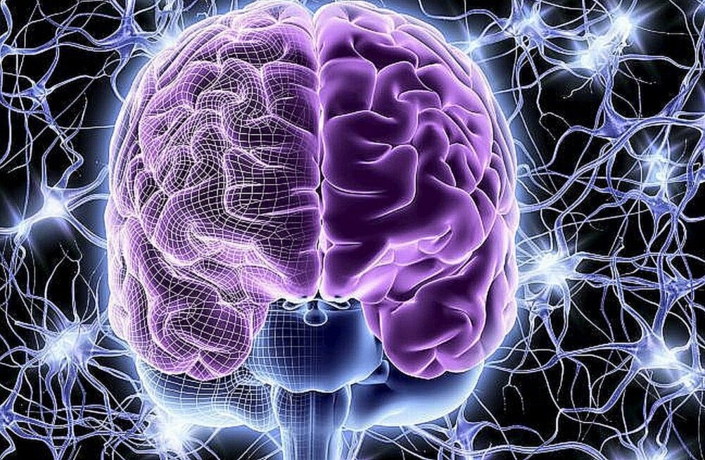 Реакция МОЗГА на звуки.