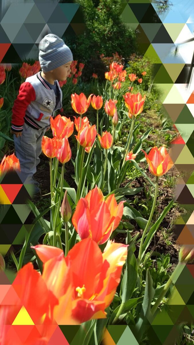 Фото автора