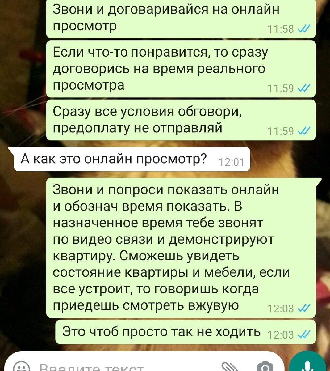 Скрин автора