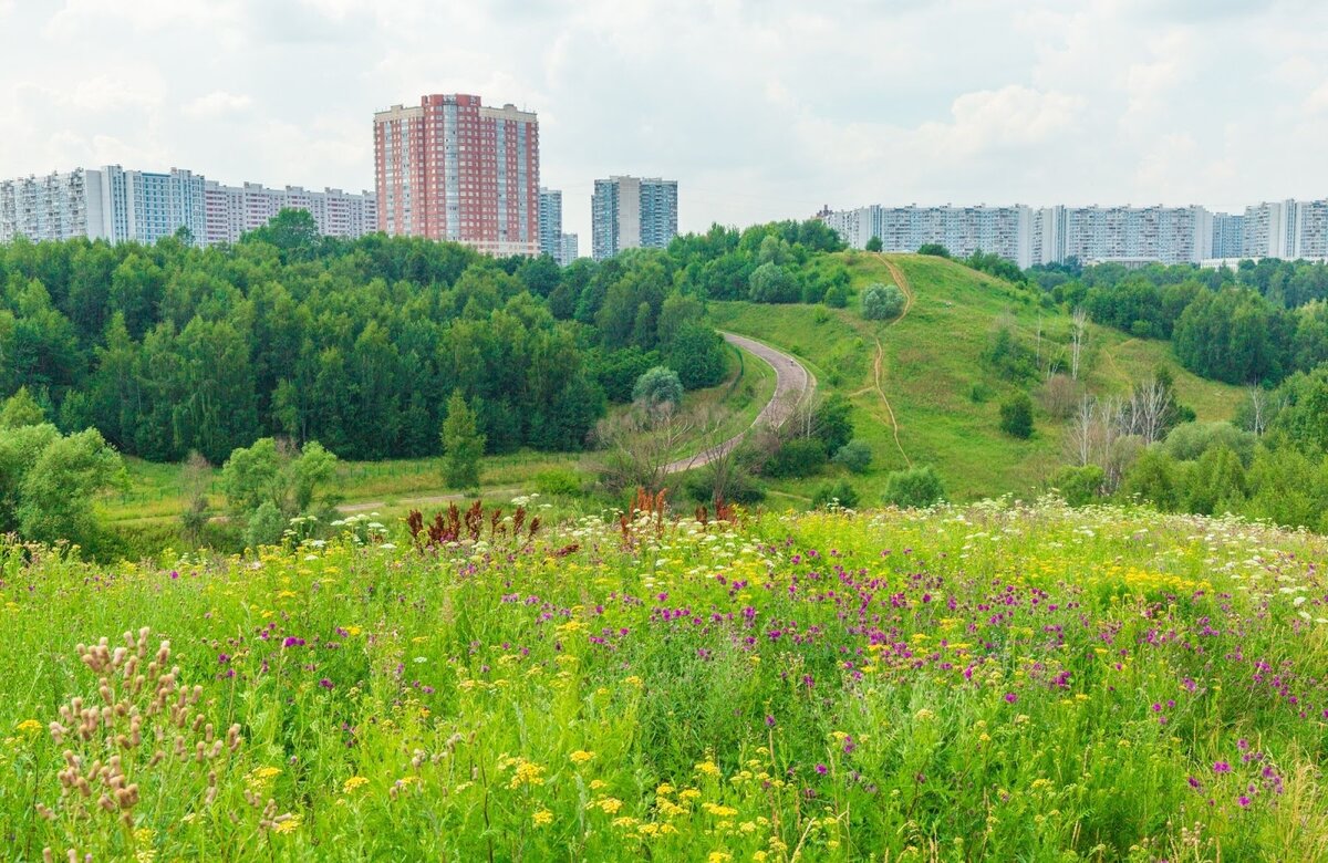 Луговая москва. Самые зеленые районы Москвы. Зеленые районы Москвы для проживания. Крылатские холмы.